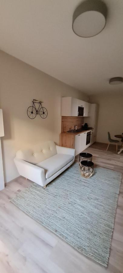 Les Coursives Appartements Mâcon Esterno foto
